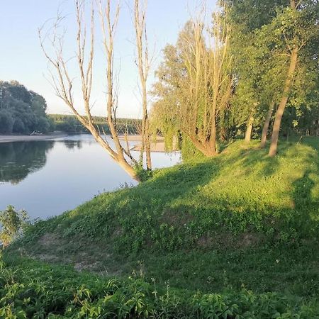 Villa Pertini Appartamento Primo Piano Nel Parco Oglio Sud Canneto sull'Oglio Exteriér fotografie